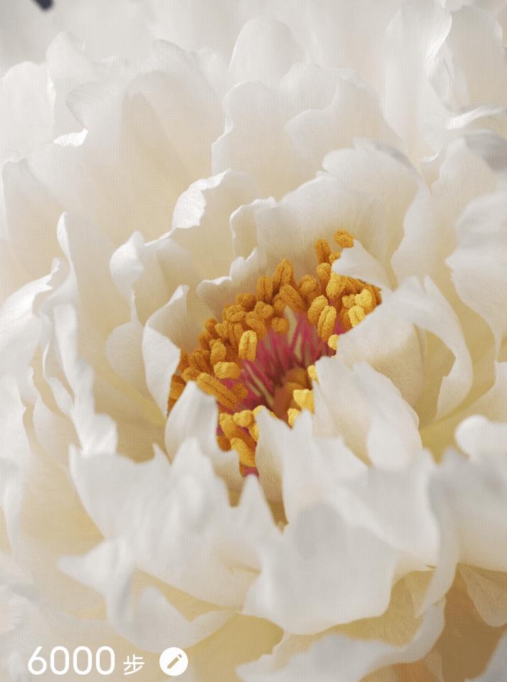 originos对比ios动画,originos和ios的相似之处