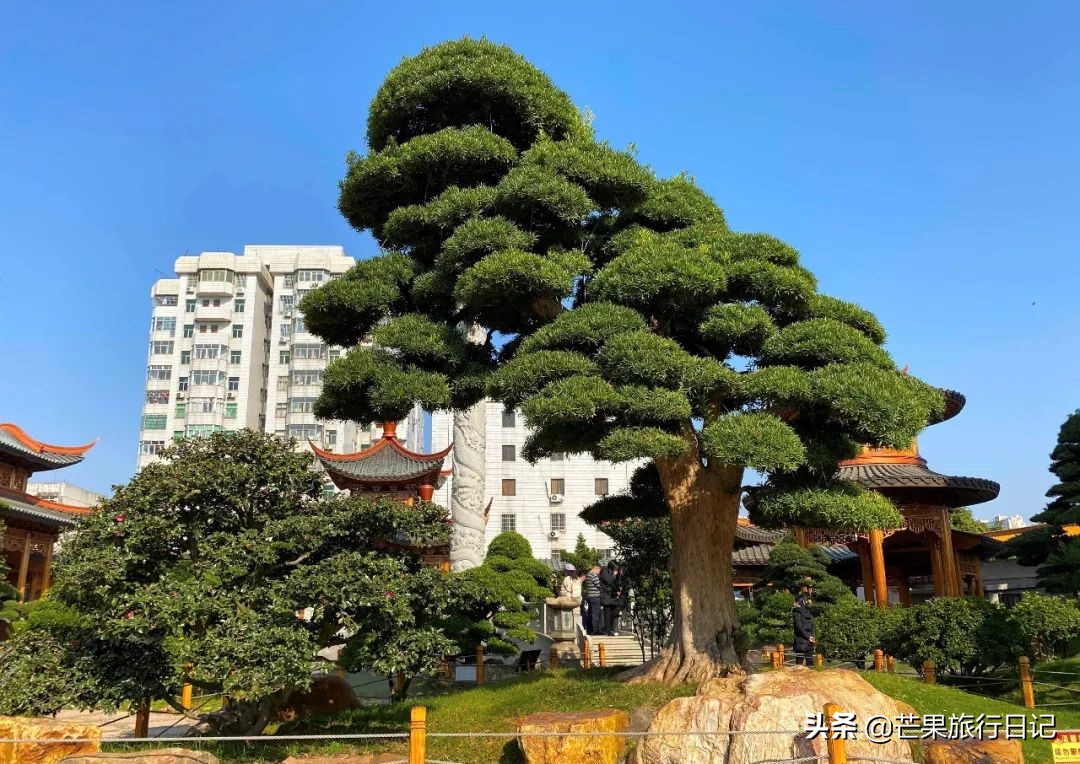 广西“布达拉宫”,据说台湾富商花30亿,用8000工人才建成