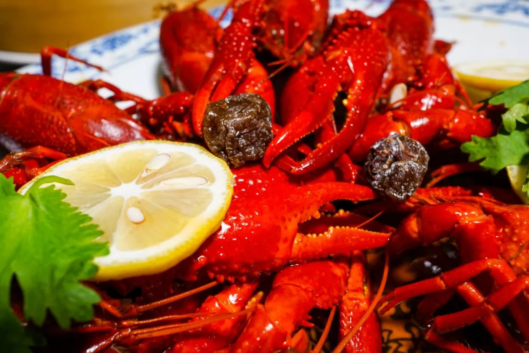 *疆新**男子沙漠5亩池塘养澳洲淡水虾,个头比手掌大,亩利润达万元