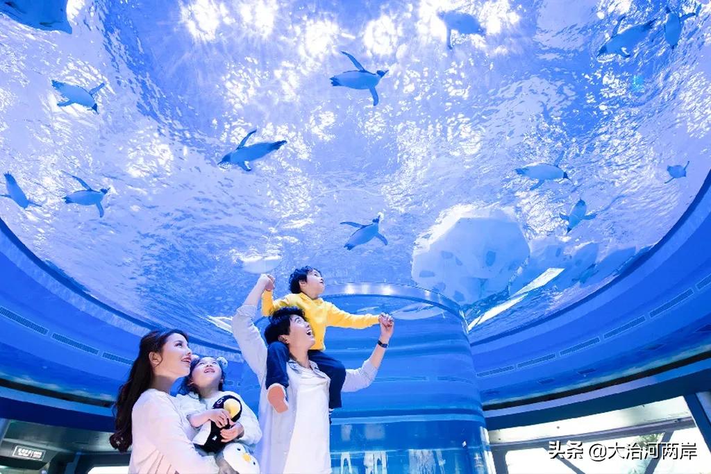 国庆小长假第二天,国庆小长假一日游