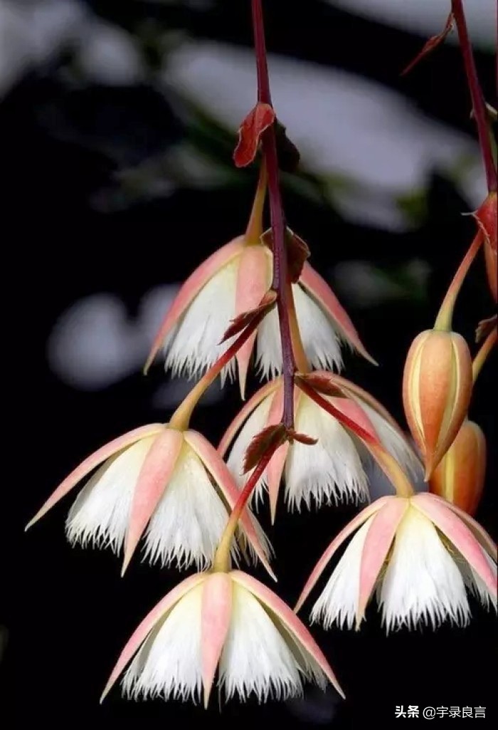 简短精辟的个性签名语录,个性签名经典语录精辟的短句