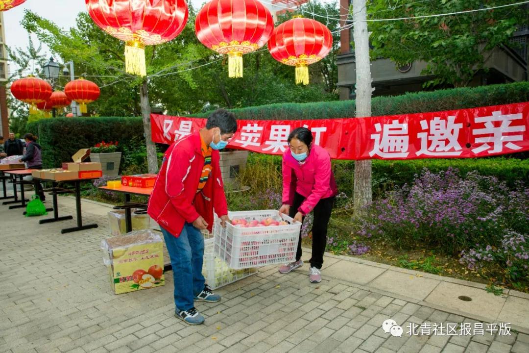 昌平本地苹果,北京昌平区苹果