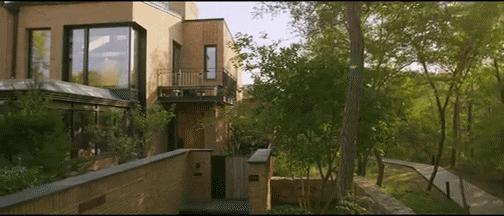 最近网剧里的房子,有点无力吐槽