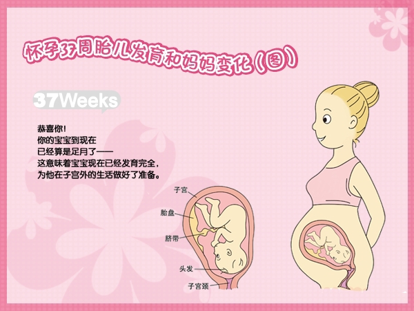 孕37周胎儿偏小三周还能补回来吗,37周胎儿晚上胎动很活跃怎么回事