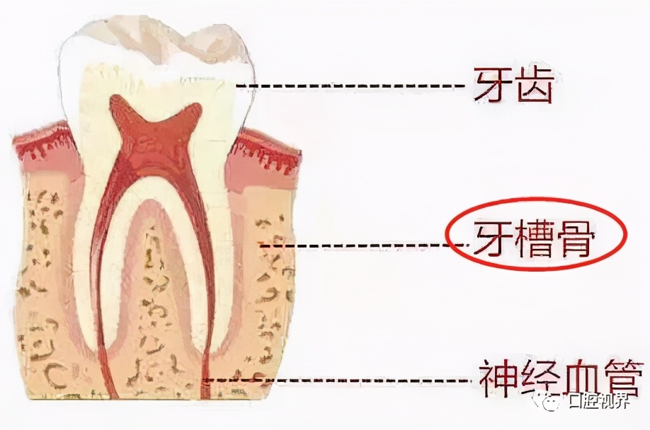 鑱婅亰鎷旂墮鐨勯偅浜涗簨鍎挎湳鍚庢仮澶嶇瘒,30骞存嫈鐗欏疄鎴樼粡楠屽垎浜嫈鐗欑柤涓嶇柤