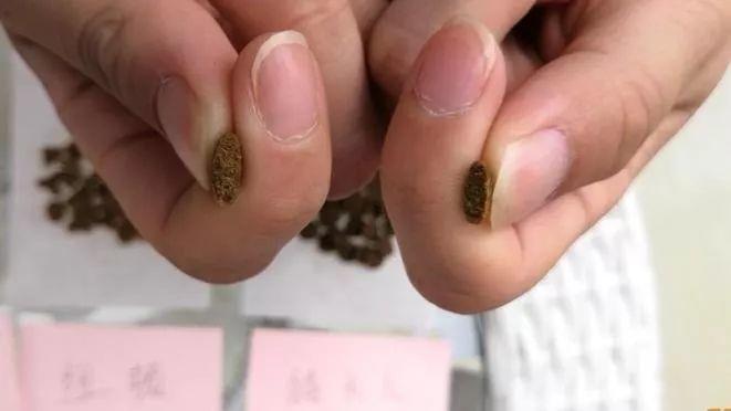 最宠品牌的全价猫粮测评,宠食界猫粮测评