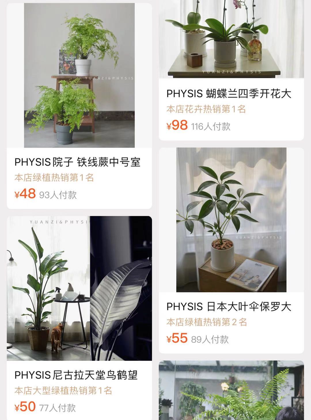 极简风格绿植店铺推荐,适合在卧室养的植物店铺