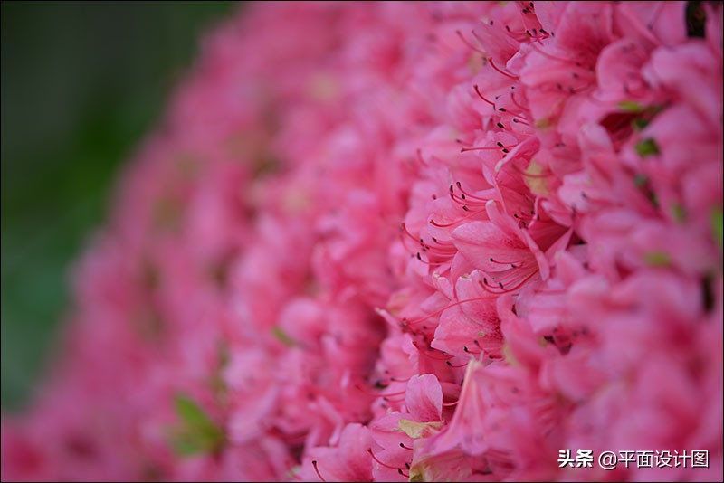 图丽80-400镜头防抖,图丽80-200f2.8有防抖吗