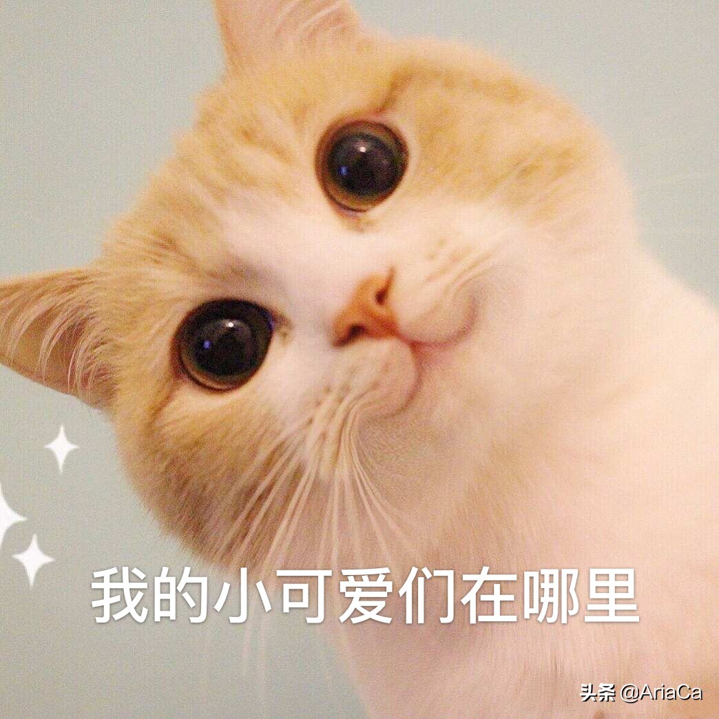 furla白色水桶包李沁同款,李沁高级感穿衣搭配