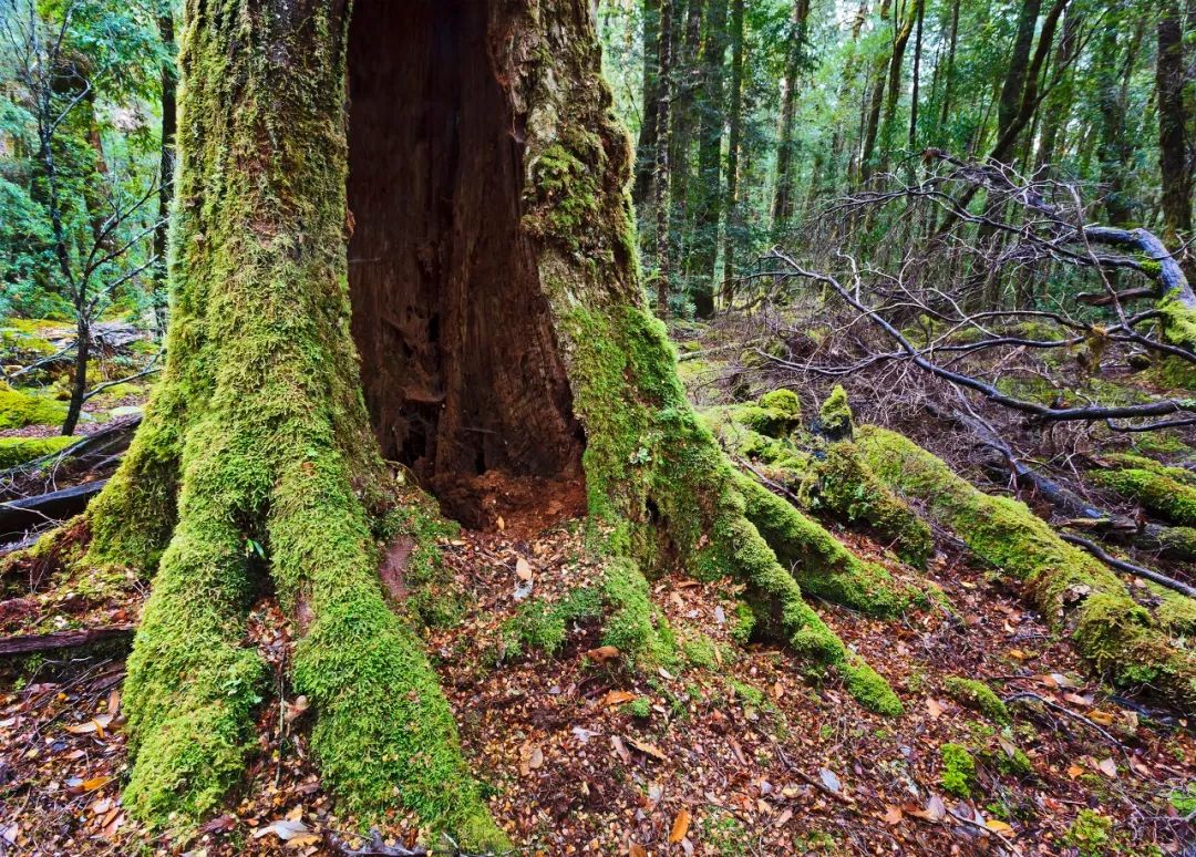 冬天去哪儿玩比较暖和,7-12月适合去哪儿玩儿