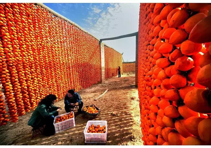 渭南人游渭南活动,渭南旅游年活动