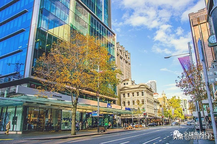 在新西兰奥克兰购物攻略,新西兰奥克兰旅游攻略最全