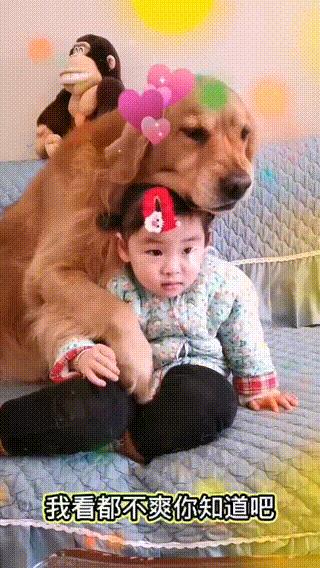 妈妈训孩子狗子护孩子,家长教育孩子对待宠物