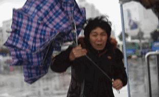 胶囊伞爆款,超便宜的胶囊伞