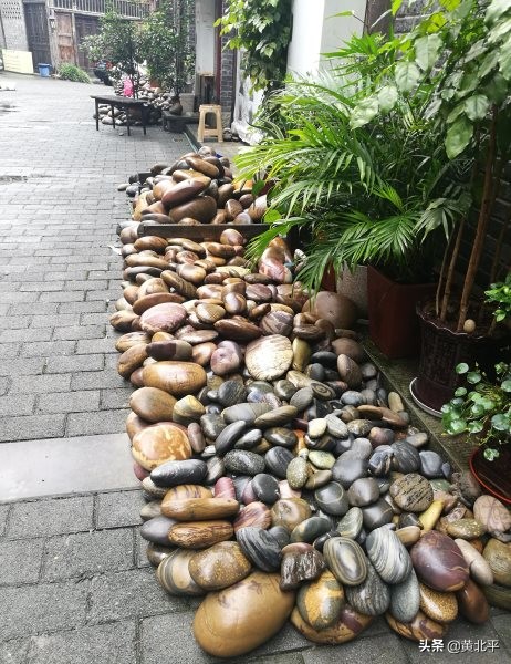 巴南区龙洲大道鱼洞老街,重庆巴南区鱼洞老街味道