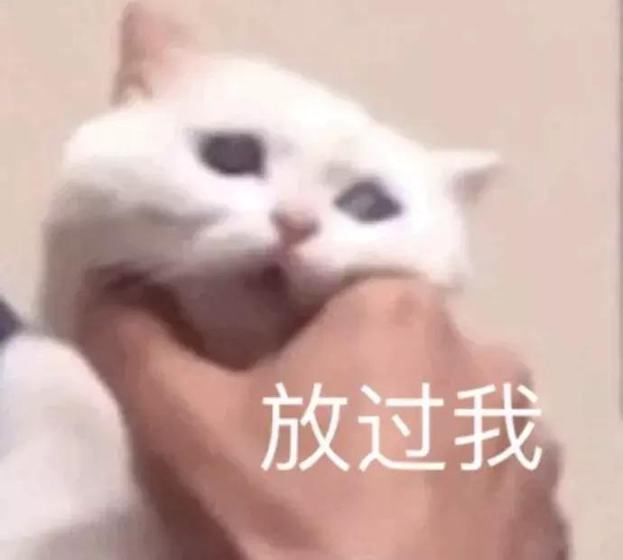 这件“外套”，人人都有过！