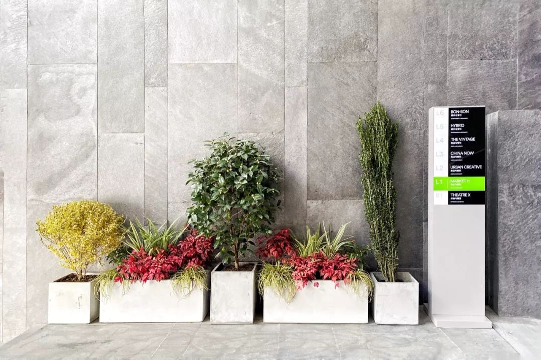 12月日记大全,12月麻将日记