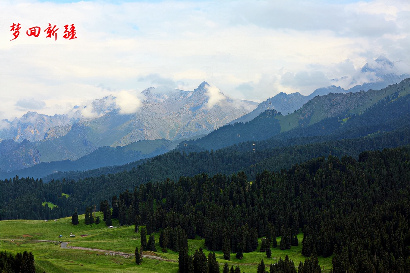 梦回新疆梦回拉萨,梦回伊宁草原视频