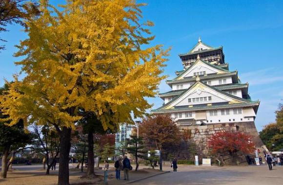 疫情时期的日本旅游业现状,疫情下中国的旅游业现状
