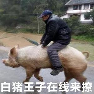 日本中二招式,日本的中二之魂