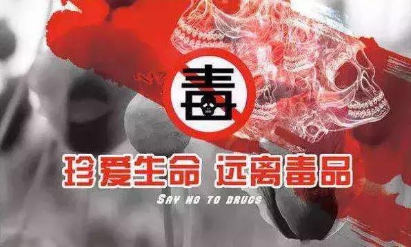 种“草”吗?做“实验”吗?坐牢的那种……