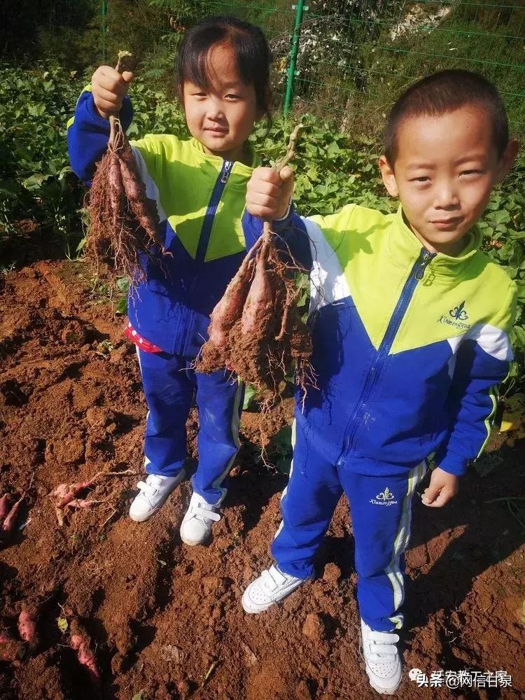 金太阳幼儿园校门,延安市甘泉谢金庄幼儿园