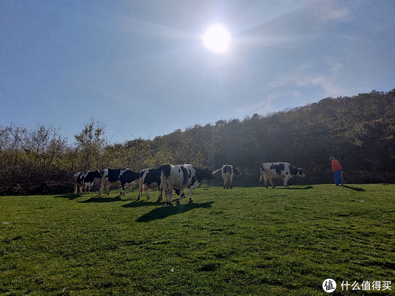五一大连三寰牧场,大连三寰牧场旅游攻略