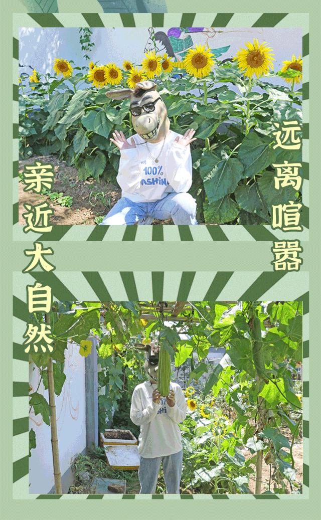 秋冬来袭！来碗养生汤！吃着鸽子喝着汤！请客有面子就到鸽子王