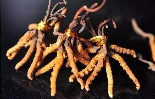 所有保健品都是假的吗,哪些保健品是真的有效