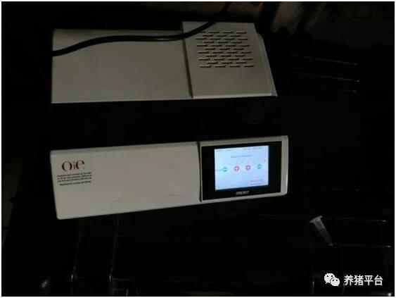 预防母猪霉菌毒素中毒,母猪霉菌中毒死胎症状