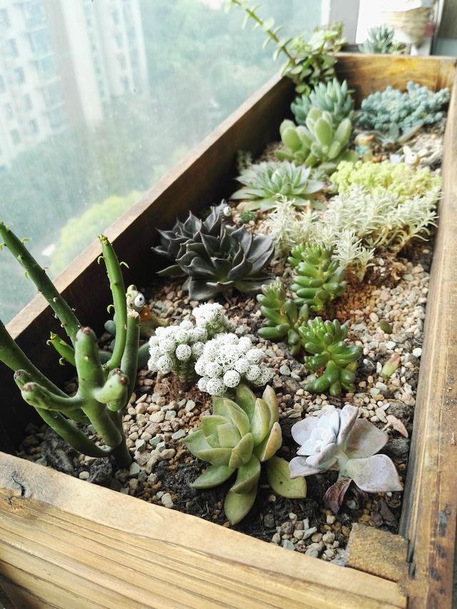 花50万让家增值500万，这80后的北欧风装修把宜家秒成渣了