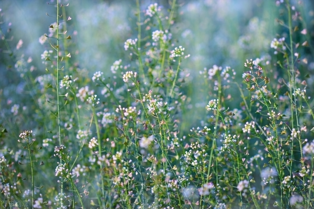 退休老阿姨人生感悟,58岁退休老阿姨人生感悟