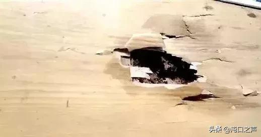 武汉家白蚁防治方法,如何预防白蚁消灭白蚁