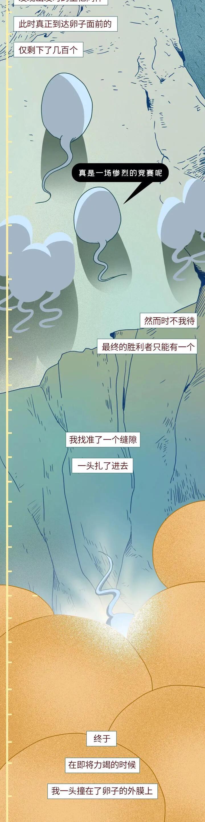 绮惧瓙杩涘叆浜轰綋1灏忔椂鍙樺寲,绮惧瓙杩涘叆浜轰綋48灏忔椂鍙樺寲