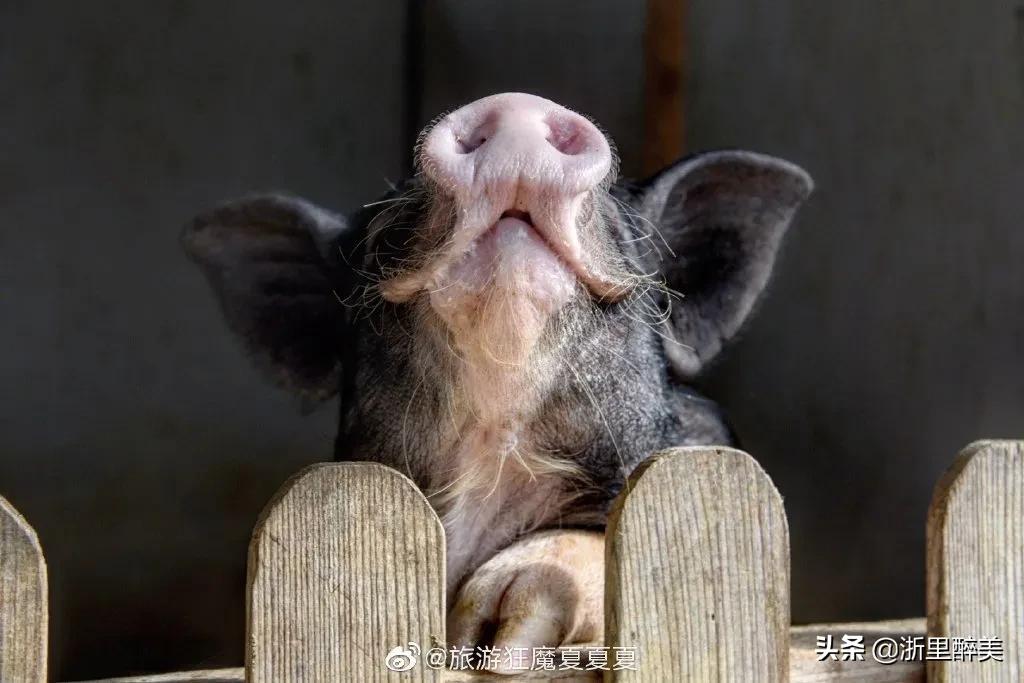 溧阳南山竹海温泉民宿,溧阳温泉民宿推荐