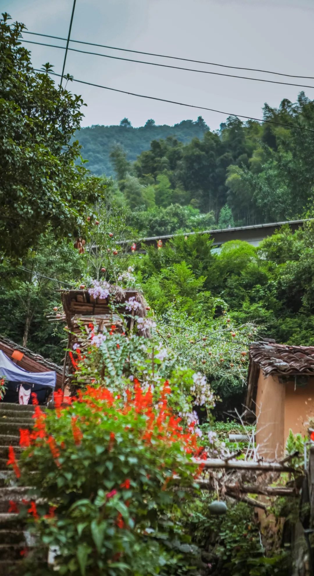 金华小九寨风景区,小九寨原始森林半日游