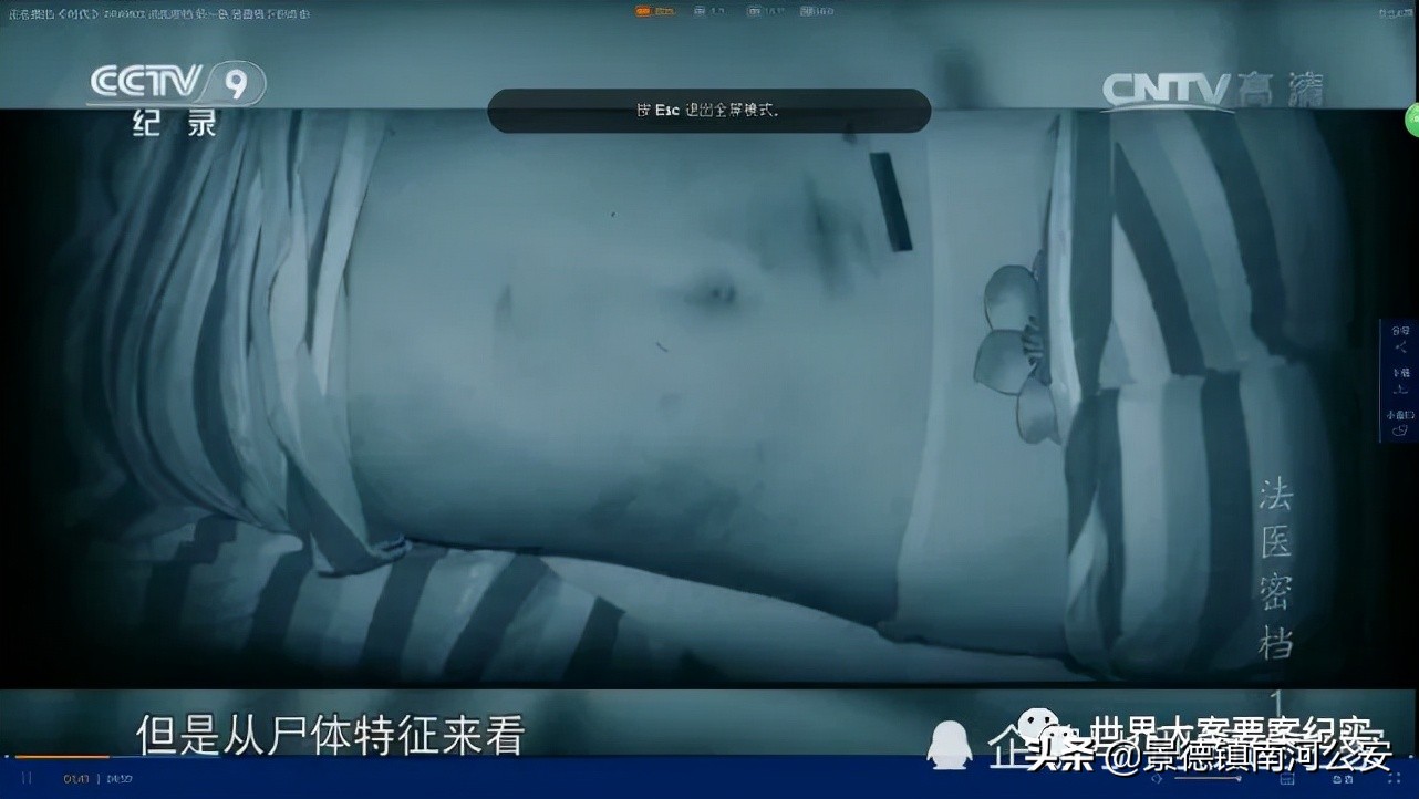 大案纪实法医四人组,大案纪实法网恢恢