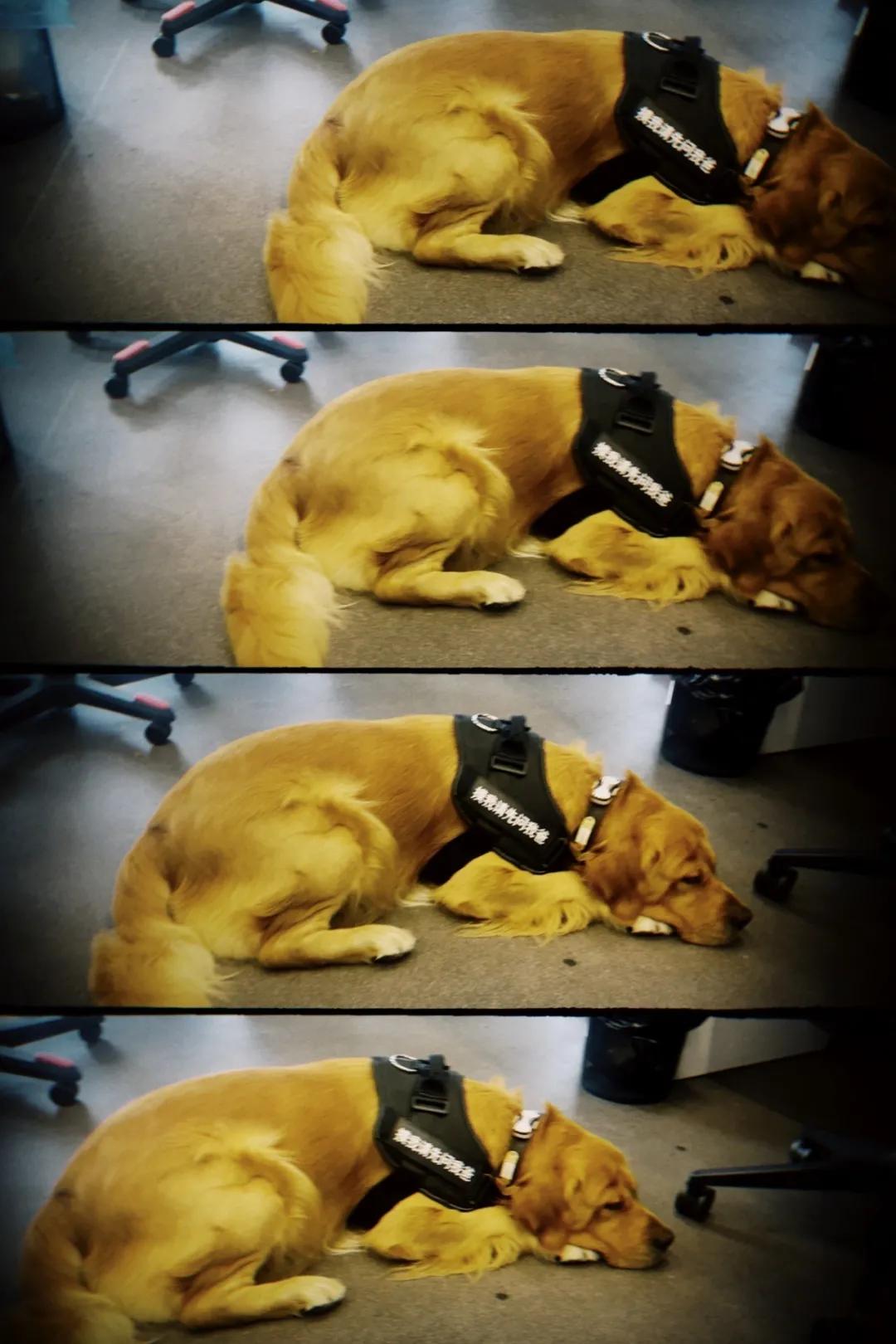 好多软件照相功能用不了怎么回事,试用拍照app