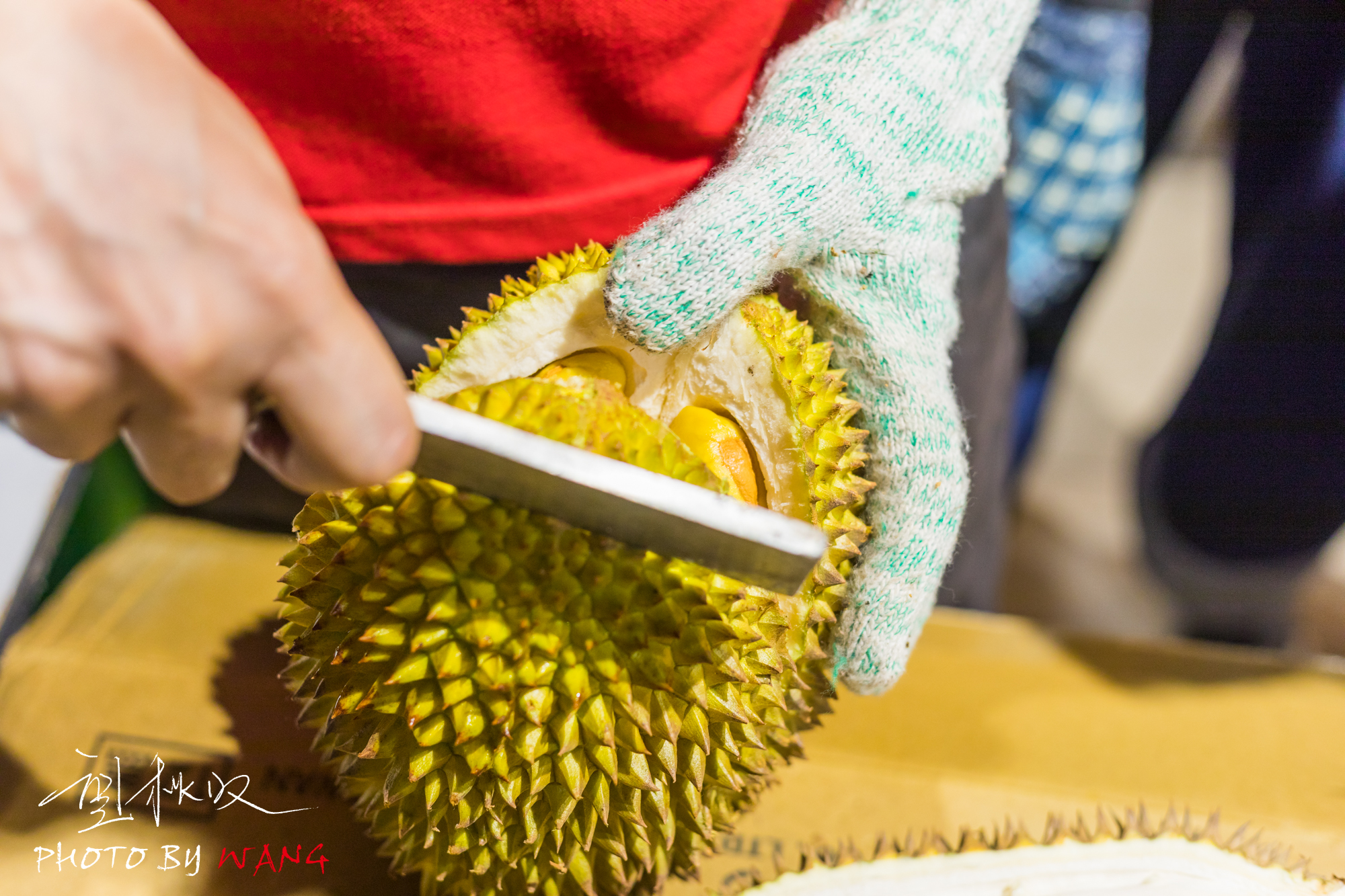 猫山王榴莲吃到爽,猫山王榴莲吃到心疼