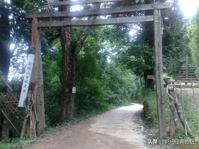 云南南糯山普洱茶口感与特点详解,云南南糯山普洱茶饼生茶357克