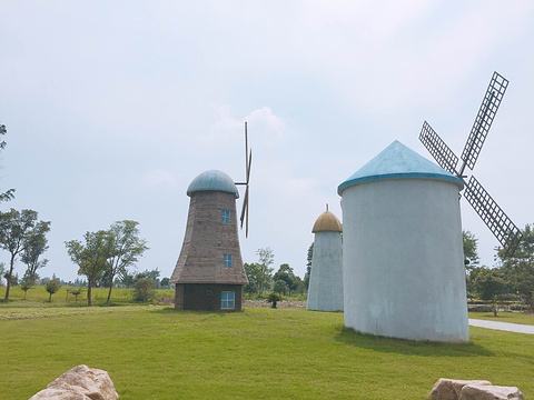 鹧鸪天-碧云花园十里水乡