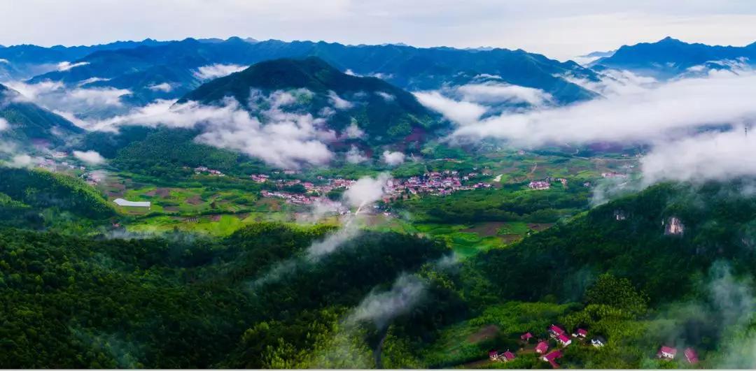 楂樺北鑼跺彾鍔╁姏鑴辫传瑙嗛,楂樺北鑼跺彾鍔╁姏鑴辫传