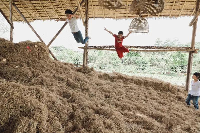 生态生物链家庭农场经营模式,农场盘活资产的最佳方法