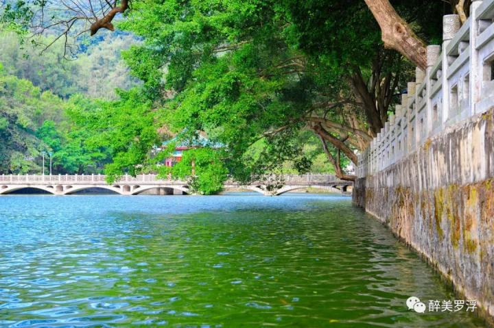 罗浮山朱明洞最新消息,罗浮山朱明洞风景区优惠