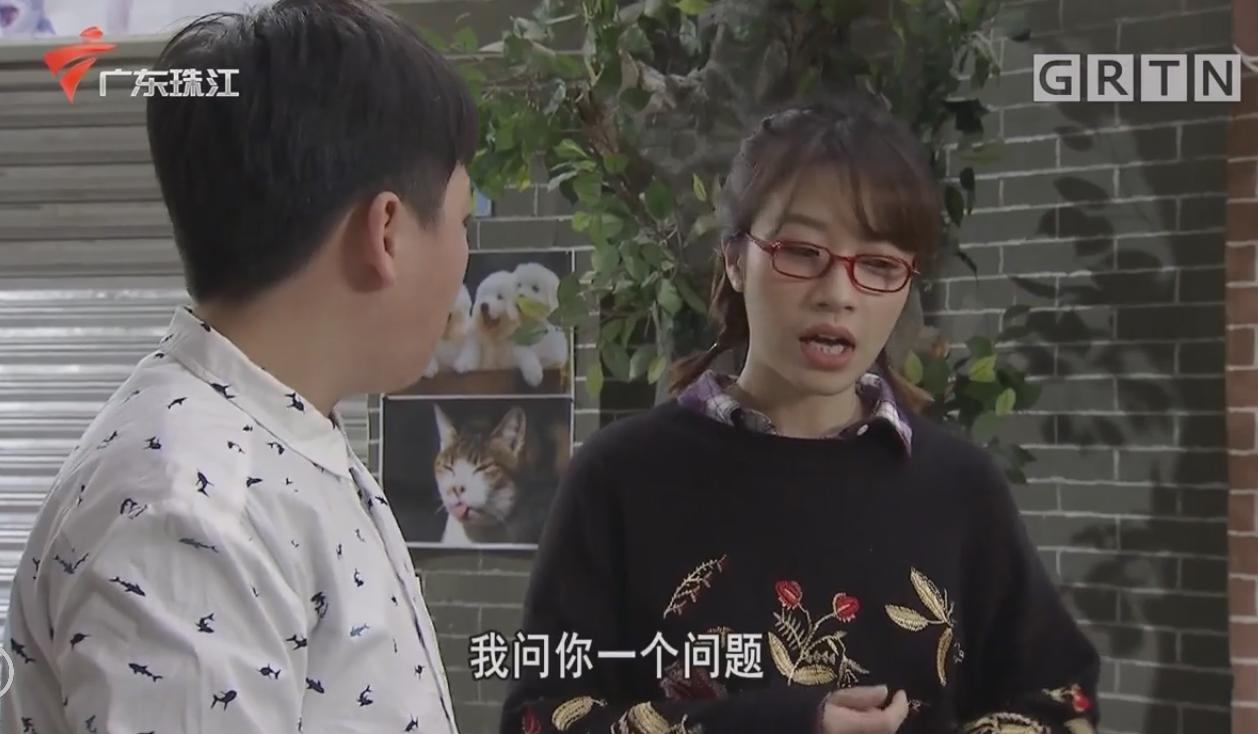 外来媳妇本地郎老康回忆录,外来媳妇本地郎康家四大恶人