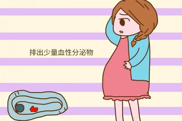 7类孕妇孕期不适合做饭，不做家务更安全，对孕妇和胎儿都好