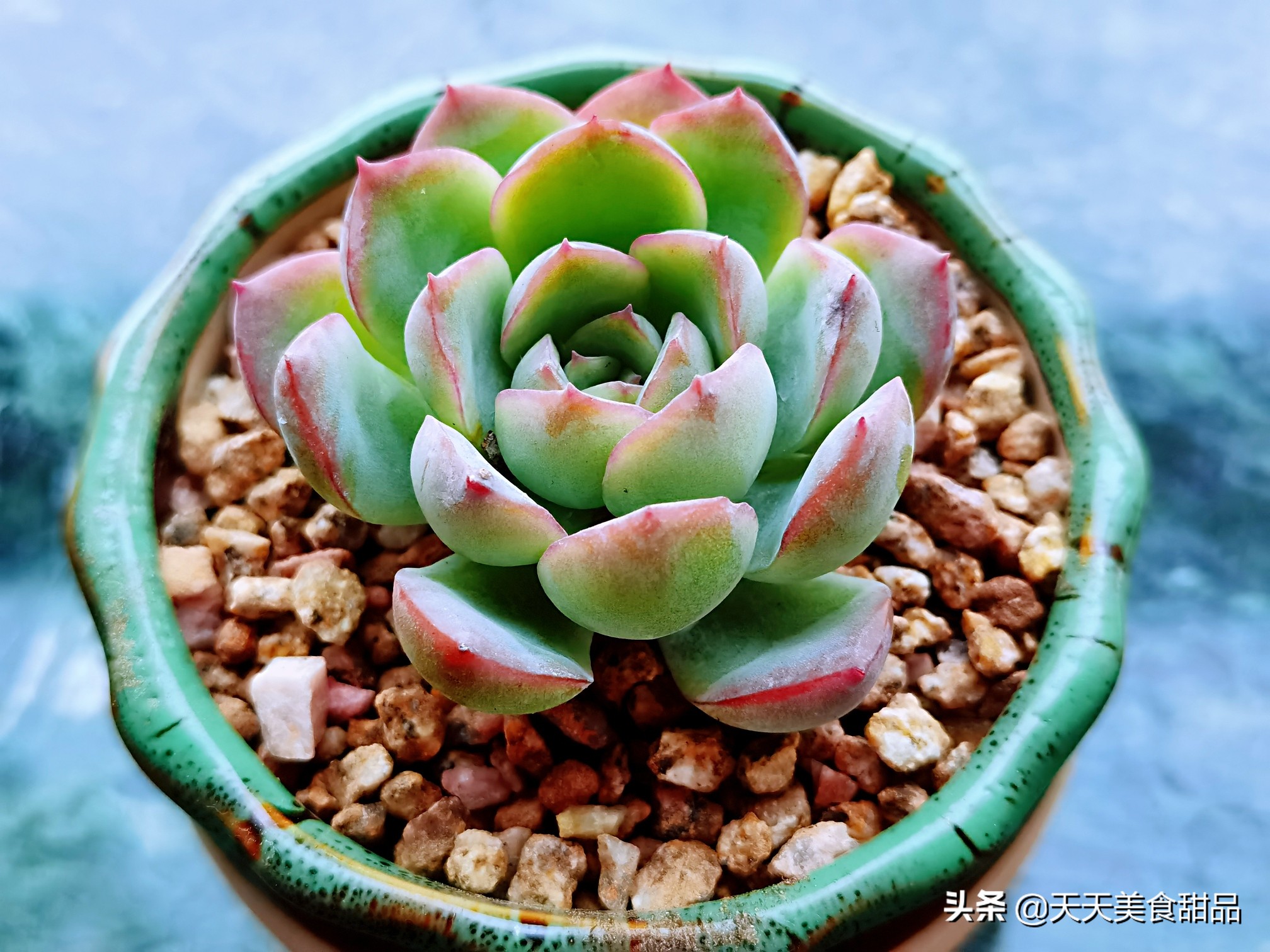 我在锦州的日子，这个周末女儿女婿又骑行