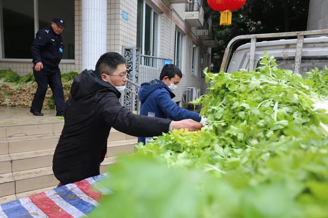 胃暖暖的很贴心是什么广告,胃暖暖的很舒服