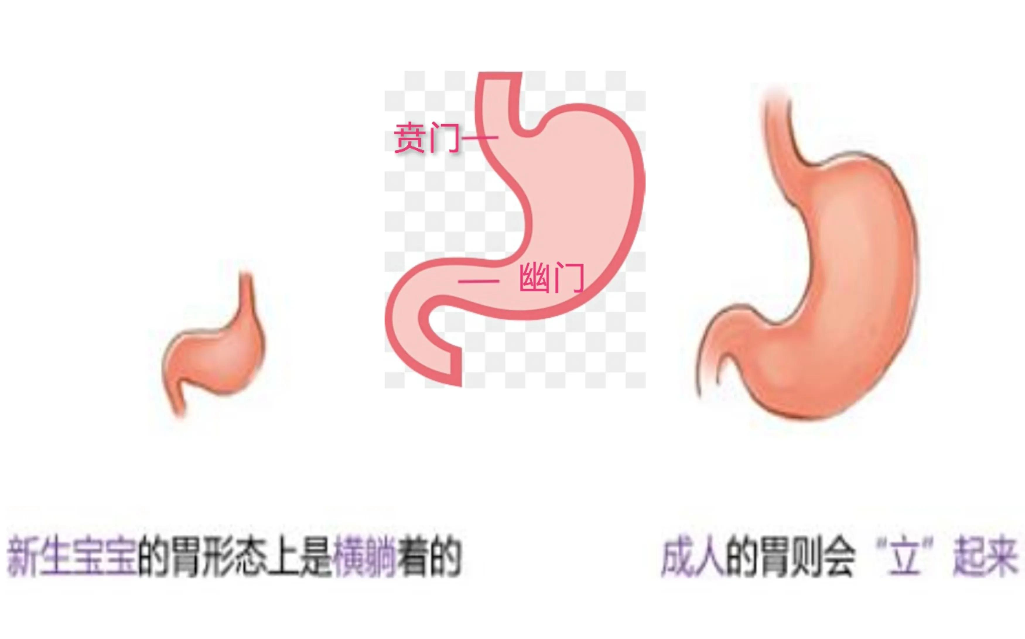 新生儿溢奶后打嗝怎么办,新生儿溢奶后打嗝是怎么回事