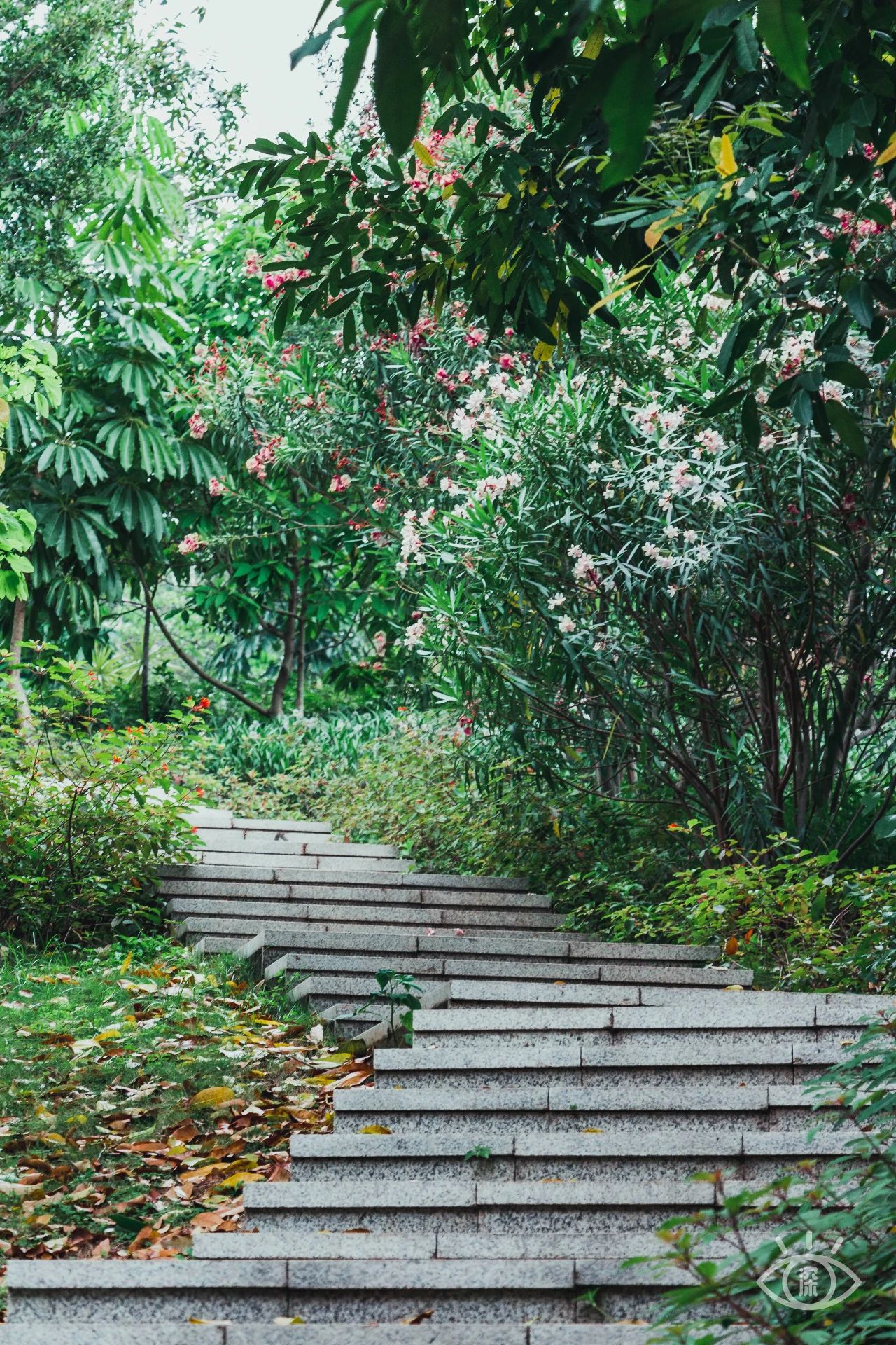 深圳值得逛的古镇,深圳有一条街全是复古的